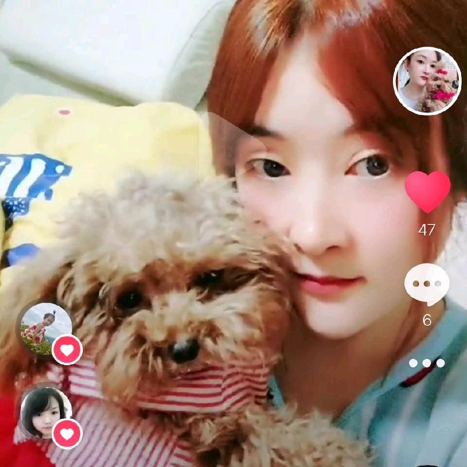 繁花落尽《好物分享》