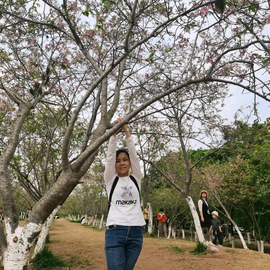 卖家电的小芳