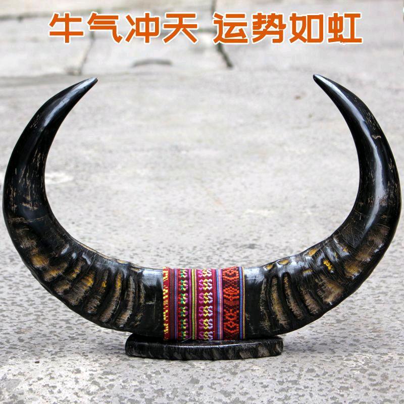 睿之护牛角店