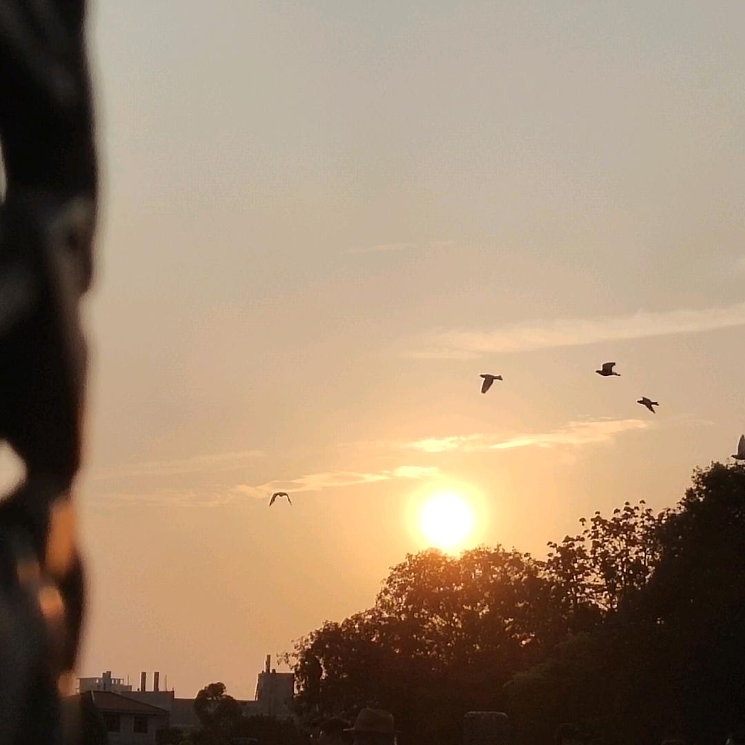 爱喝茶的茶罐罐，，，，