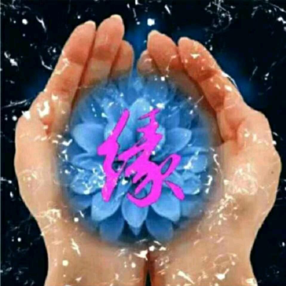 新秀吉舞（禅静合一）