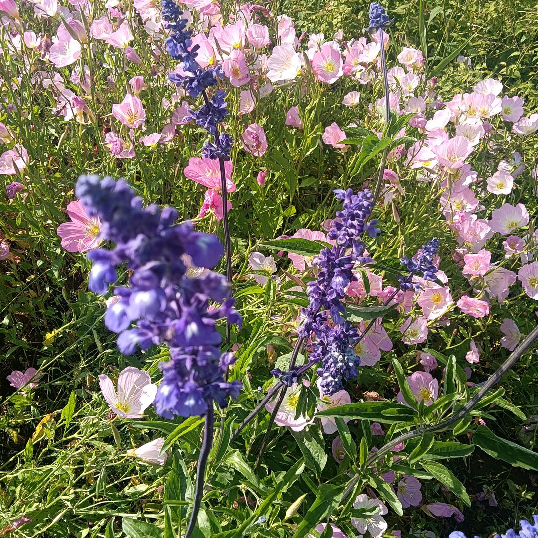 好久不见😊🍓🍓🍒🍒