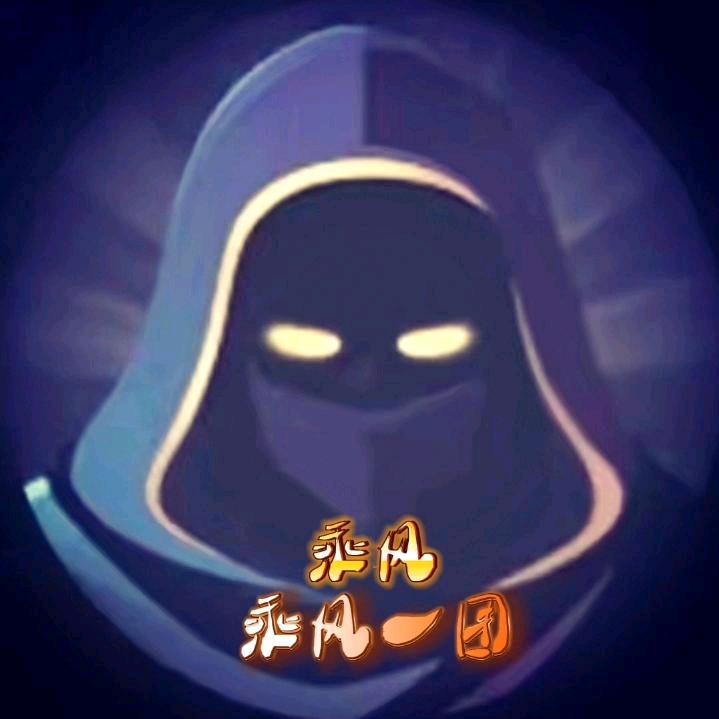 神秘人齐飞（小齐先生）