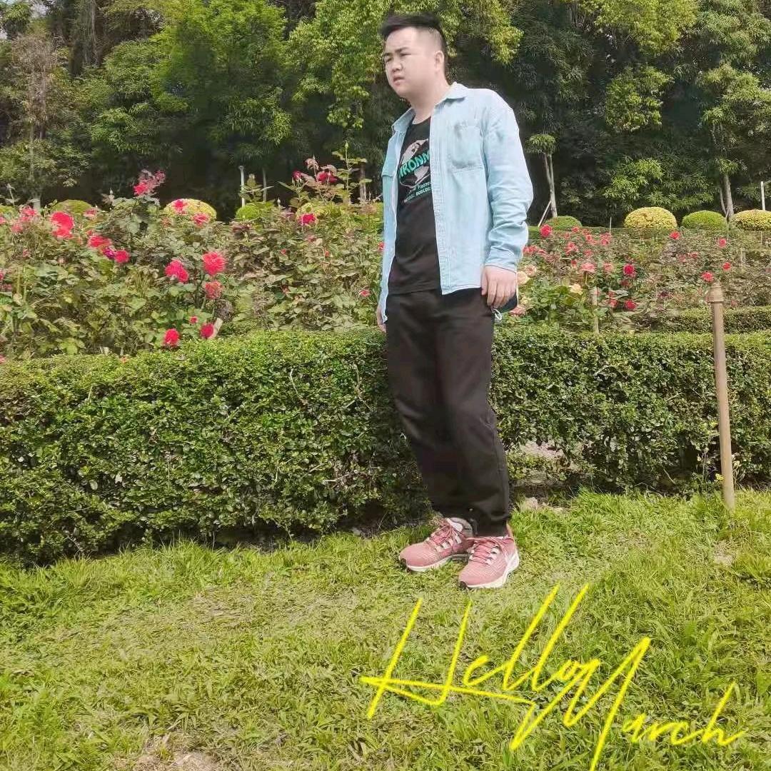 卡东汕狮狮头鹅，鸡，鸭