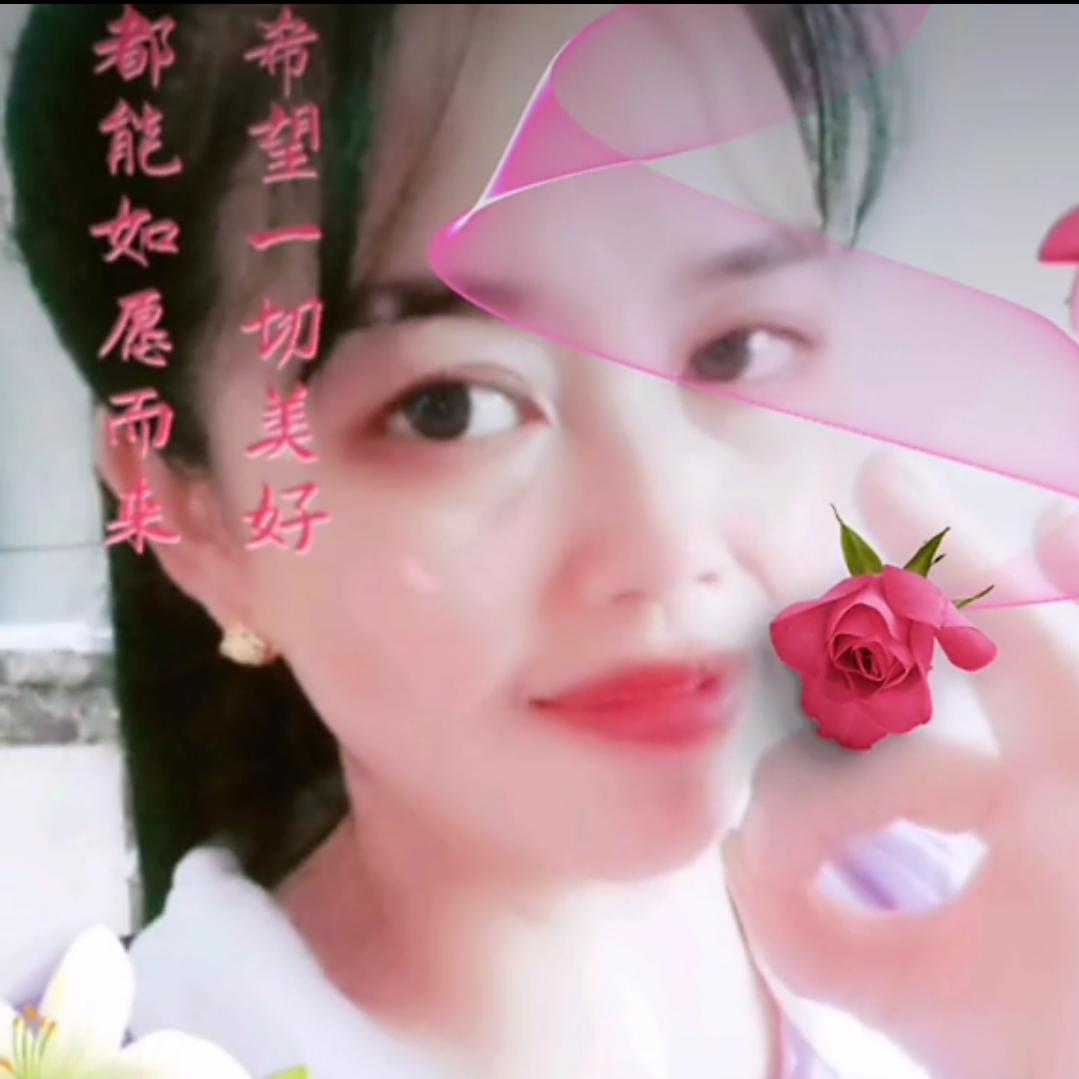 💃小燕子