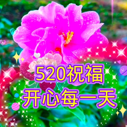最美的祝福送给你