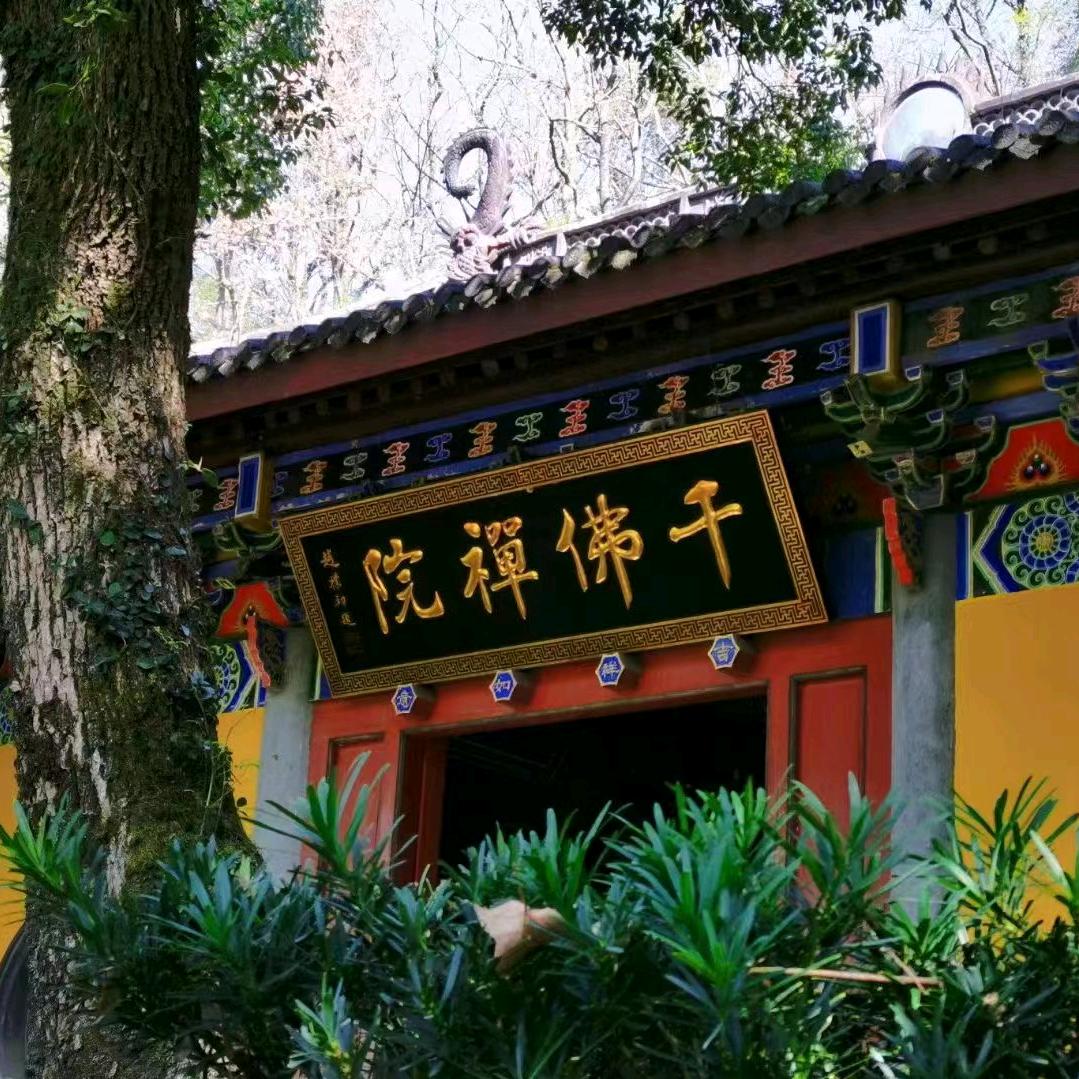 华策影视学校胡老师