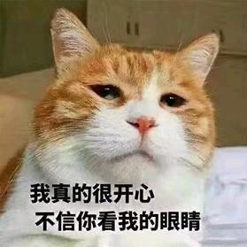 豆一条大师（游钓黑坑）