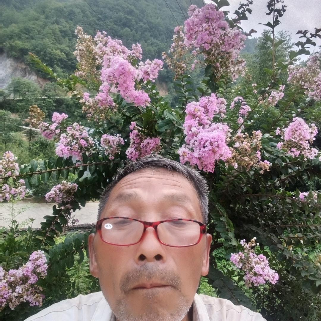 老马马子兵