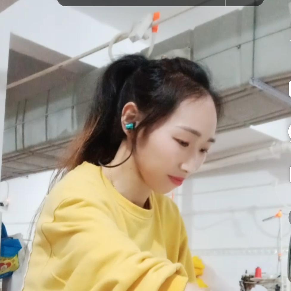 小本本