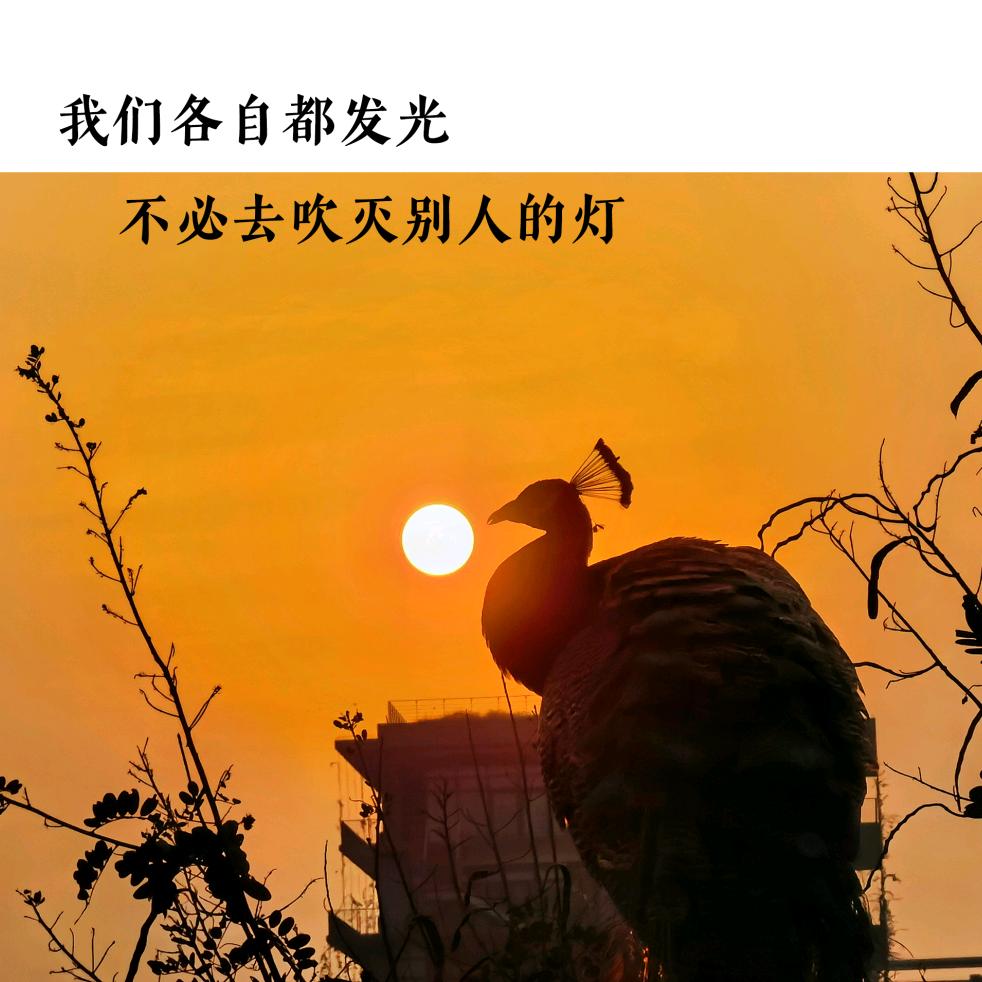去 有风的地方