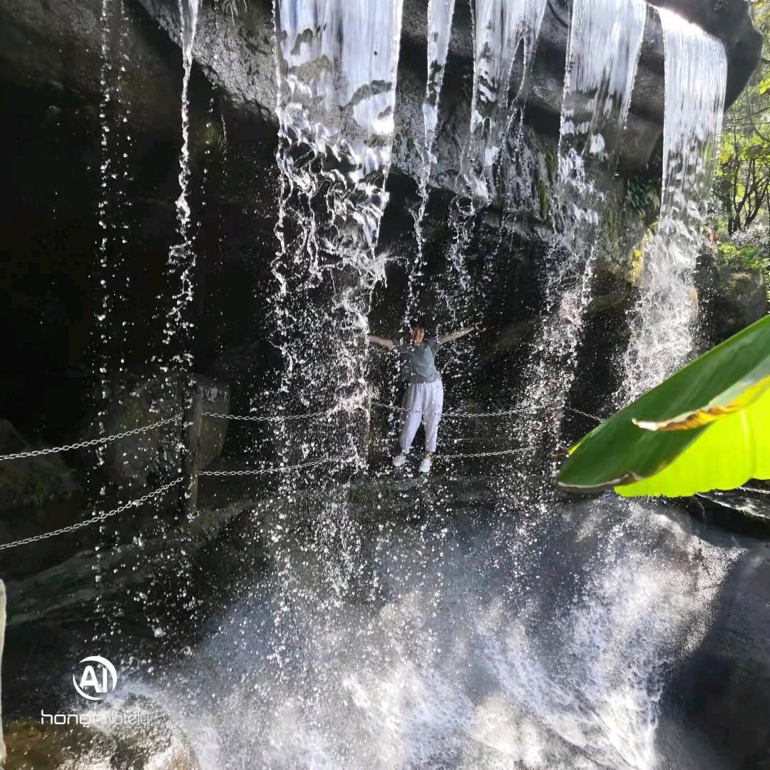呆呆的幸福