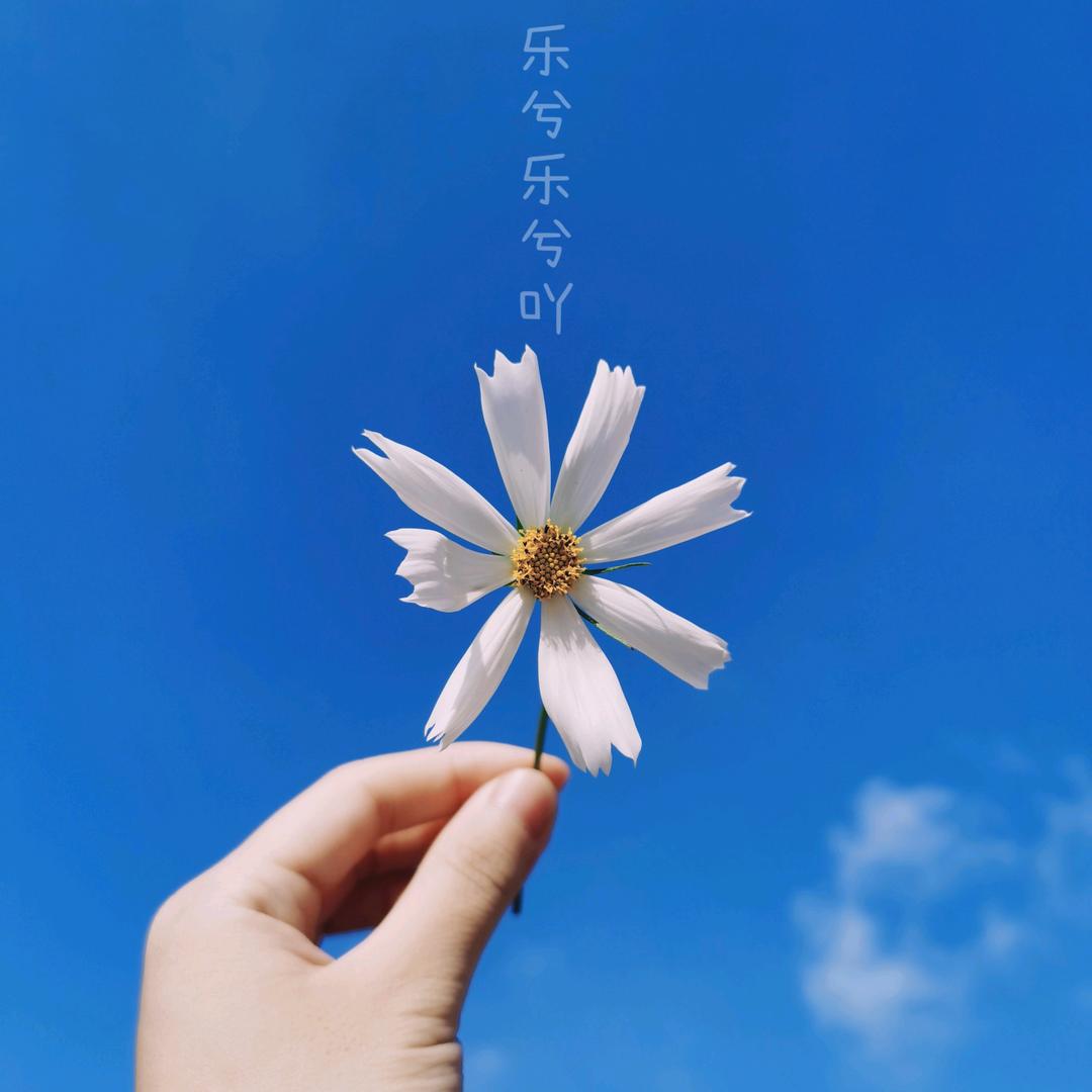 乐兮乐兮吖⁵⁸⁸