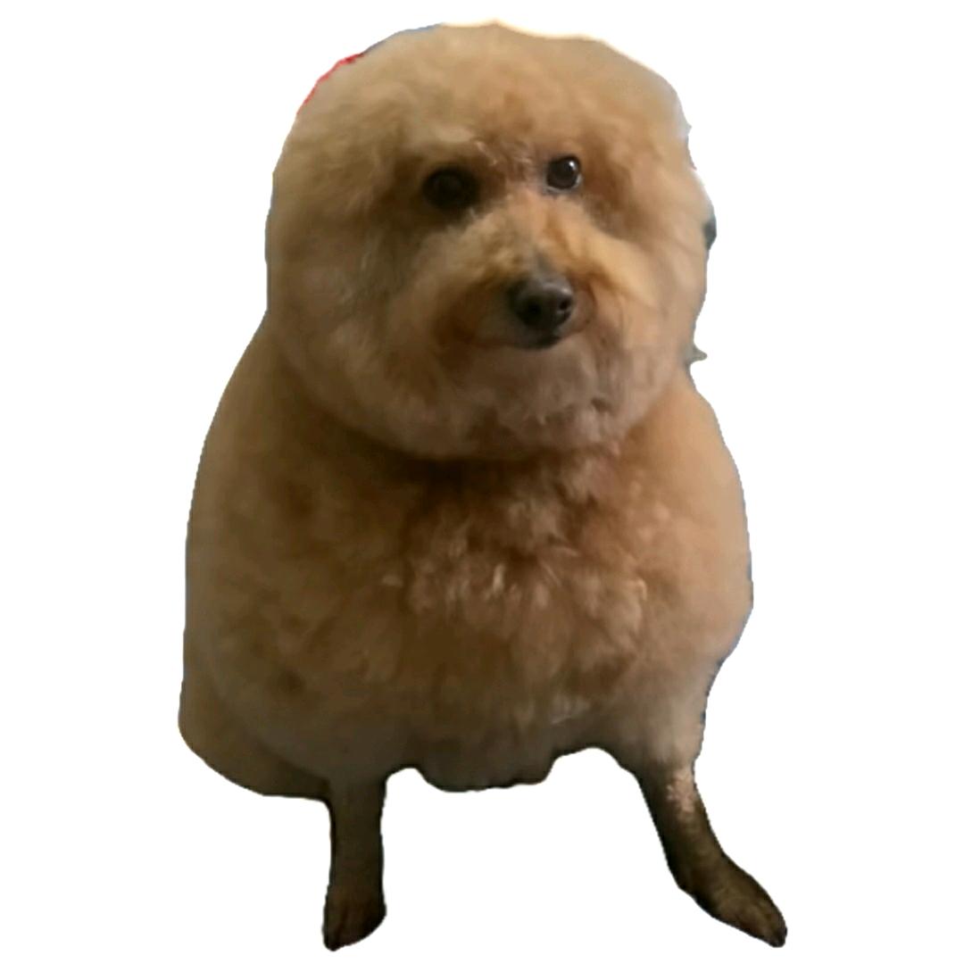 4399160