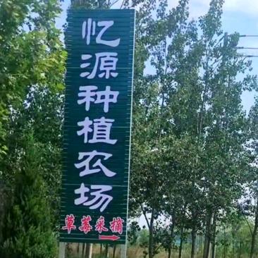 有滋有味