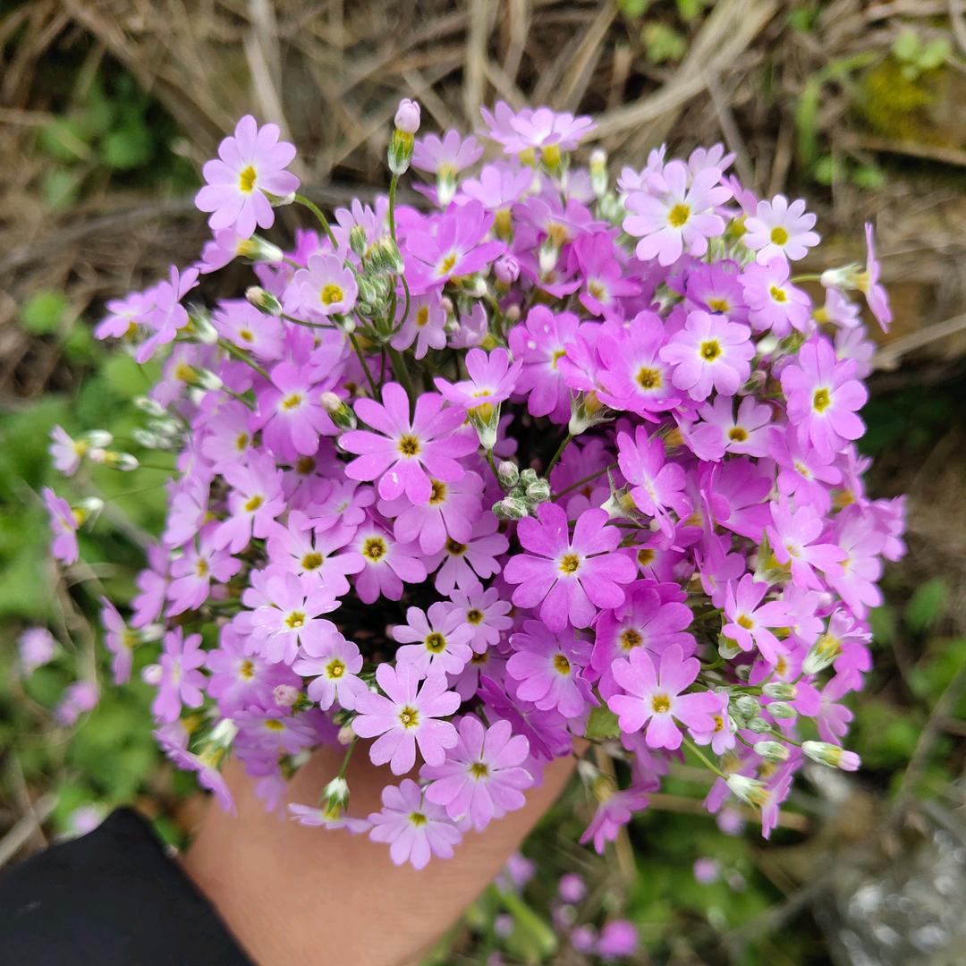 .̶♡̶眼̶里̶有̶星̶河̶¾