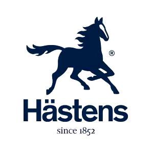 海丝腾Hastens企业店