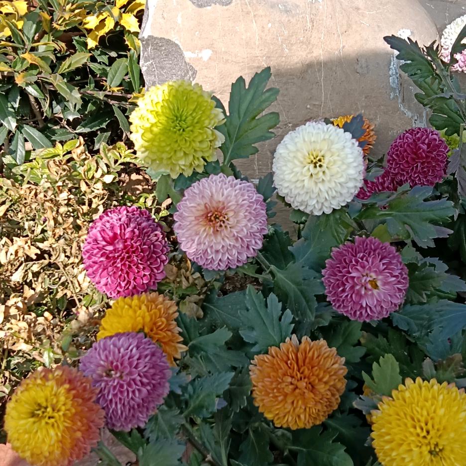 ，我的快乐我做主