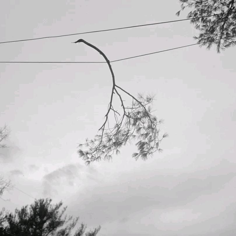 极简
