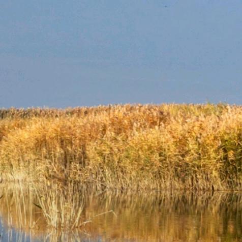 ╮( •́ω•̀ )╭酒醒梦一场～:)