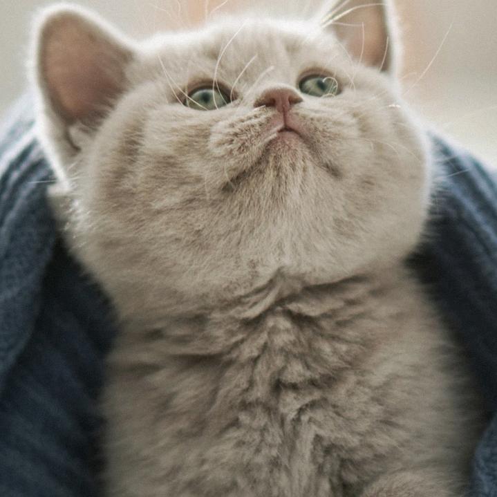 ,。,。