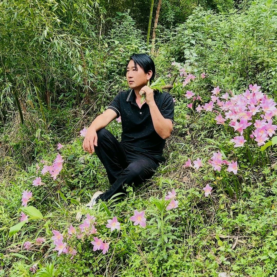 三七哥（百花草）