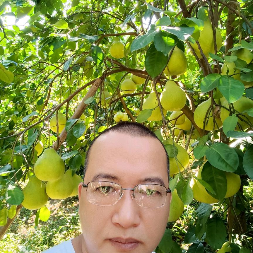 阿肖