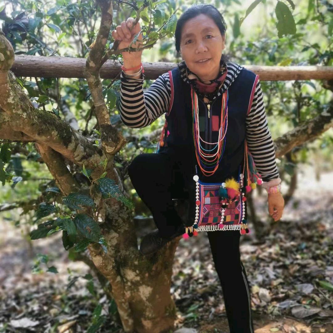 以茶会友、交天下客