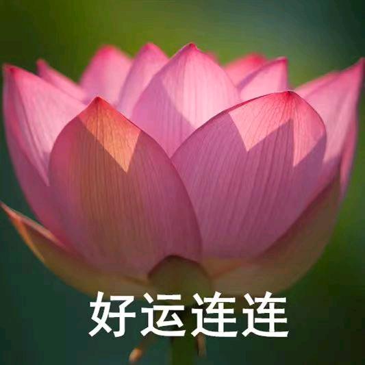 先群