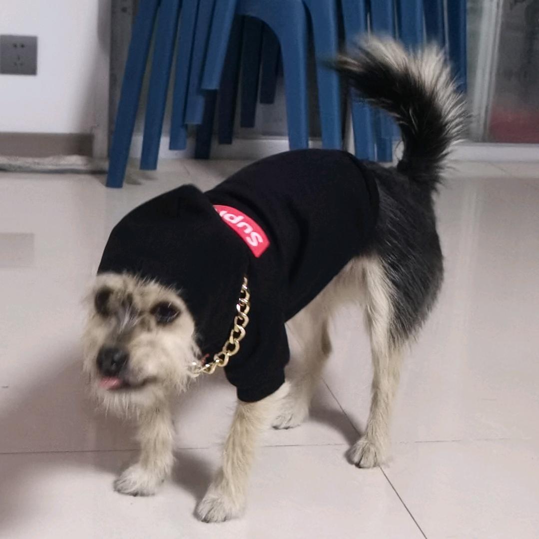妮GG