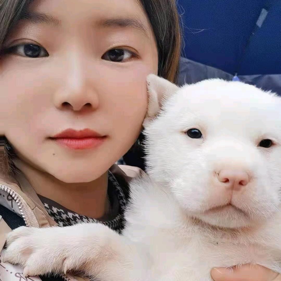 （贵州阿妞）下司犬，从江犬，土猎犬等……