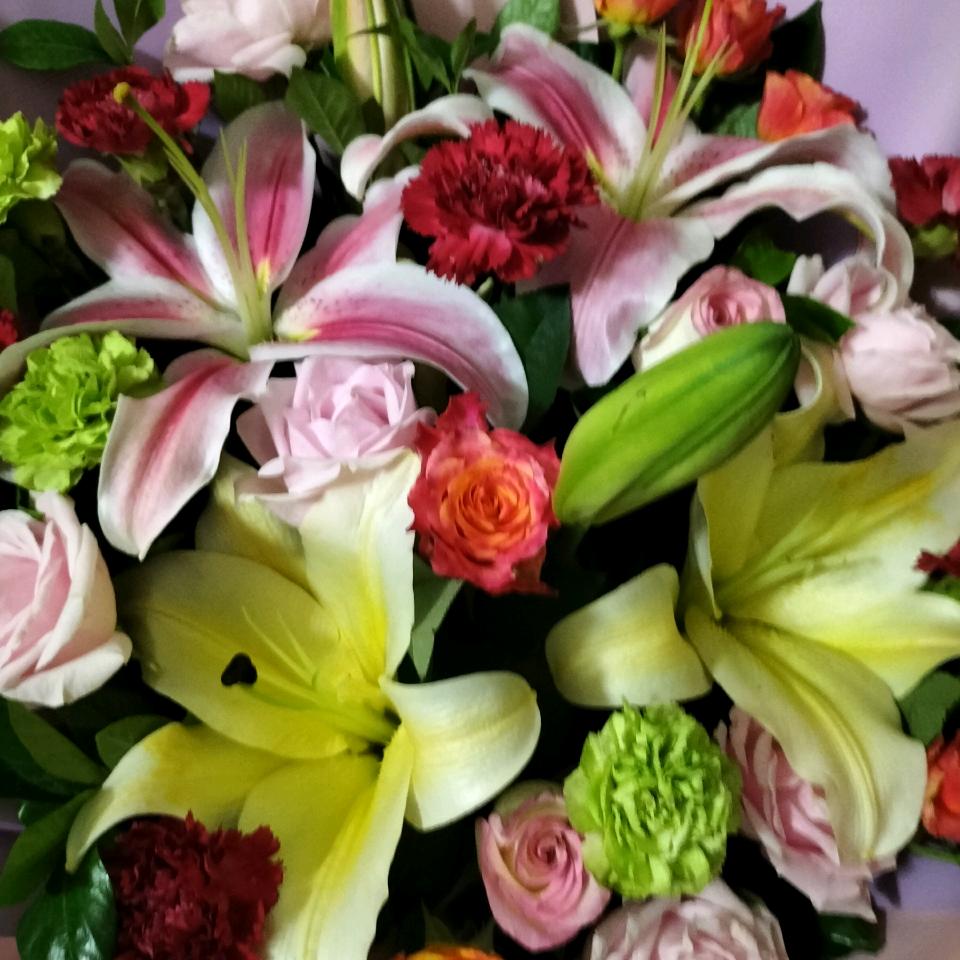 用户3108564371974半夏微凉