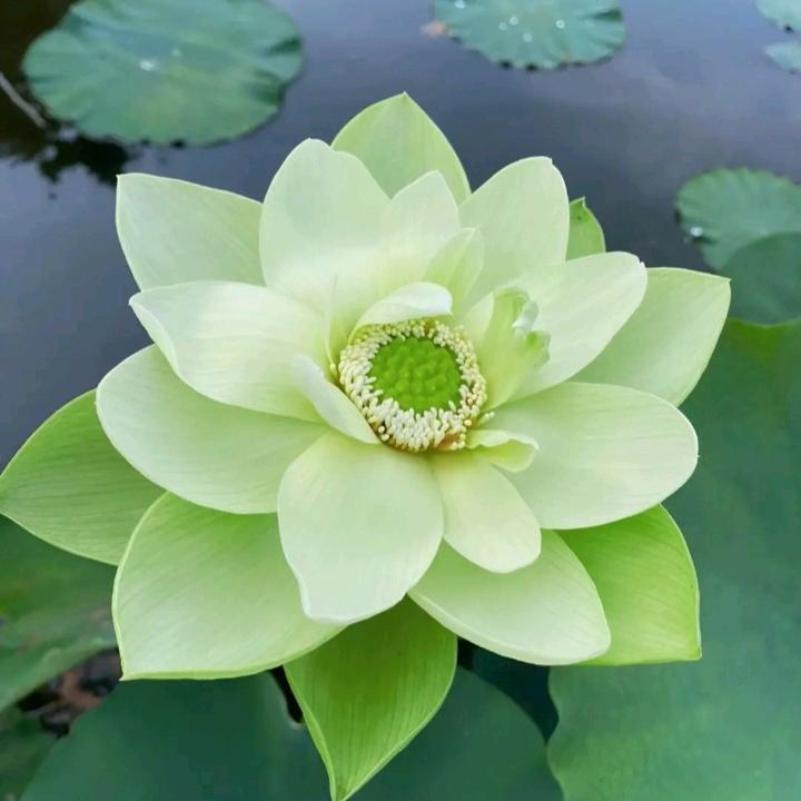 阳光灿烂1