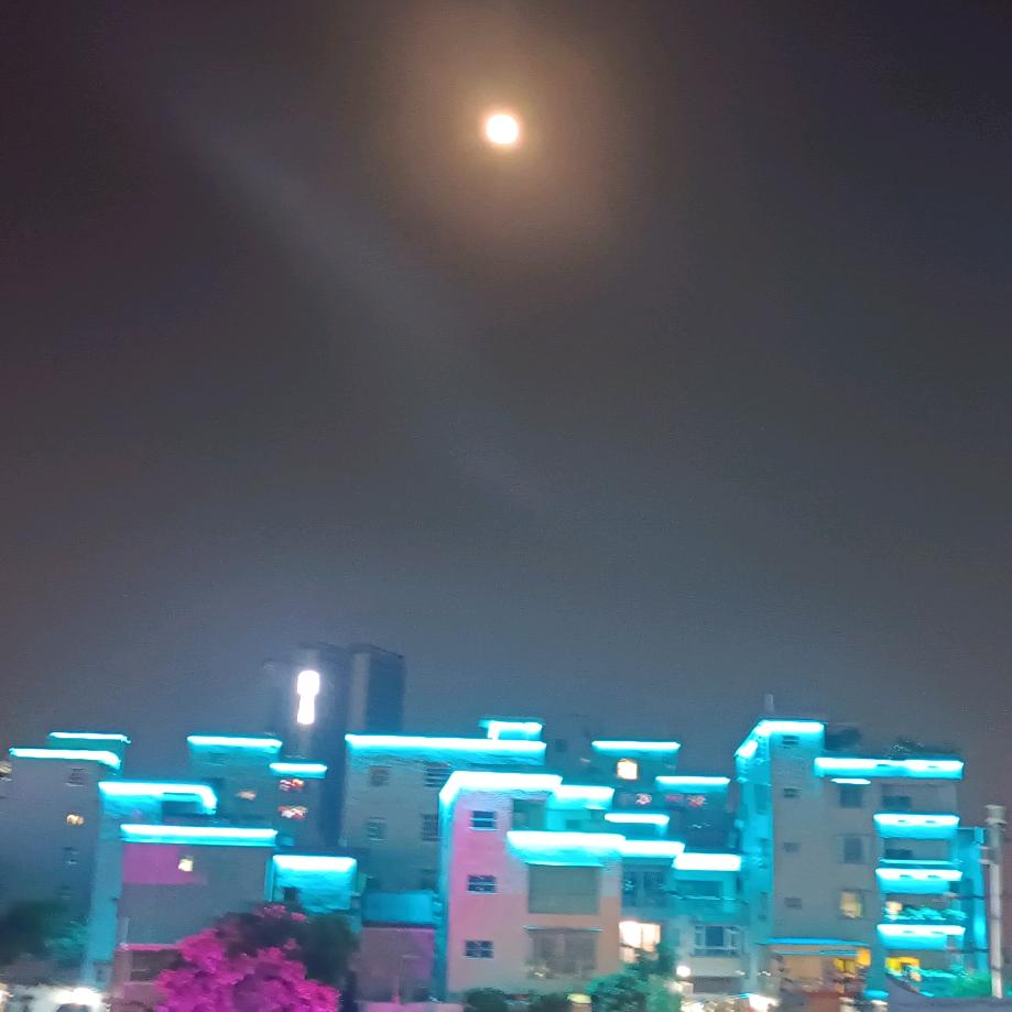 为你疯狂