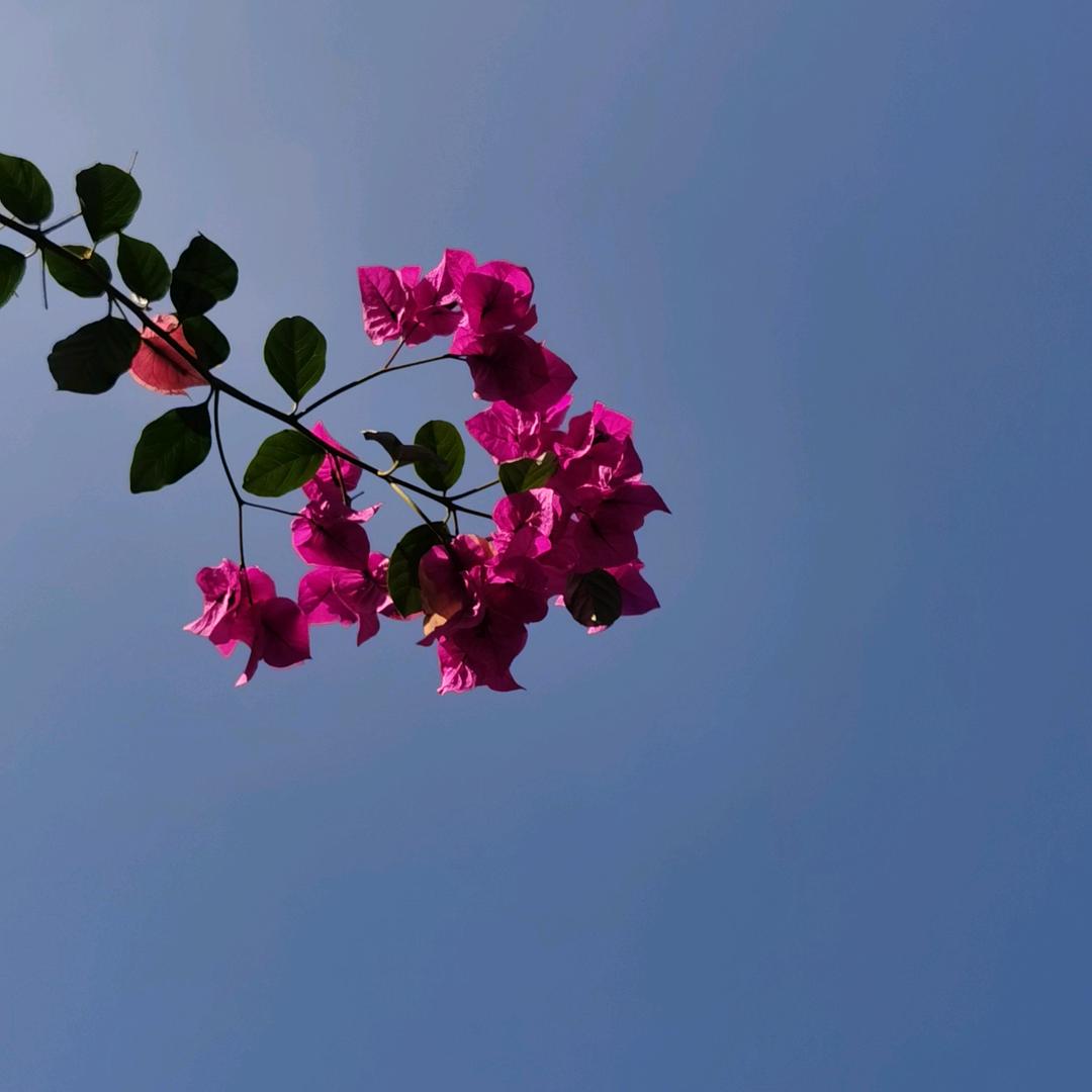 七千画