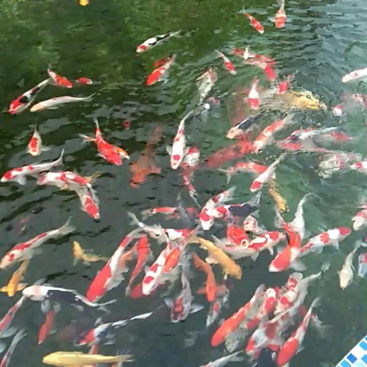 无名之辈