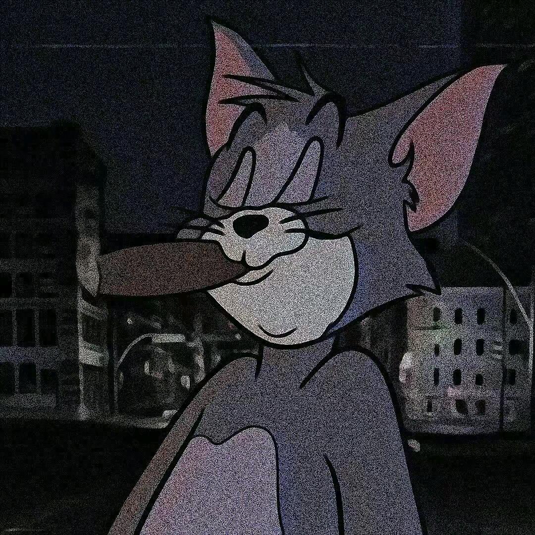 小白语言魅力
