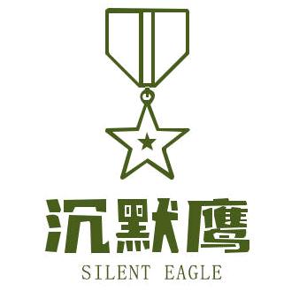 沉默战鹰