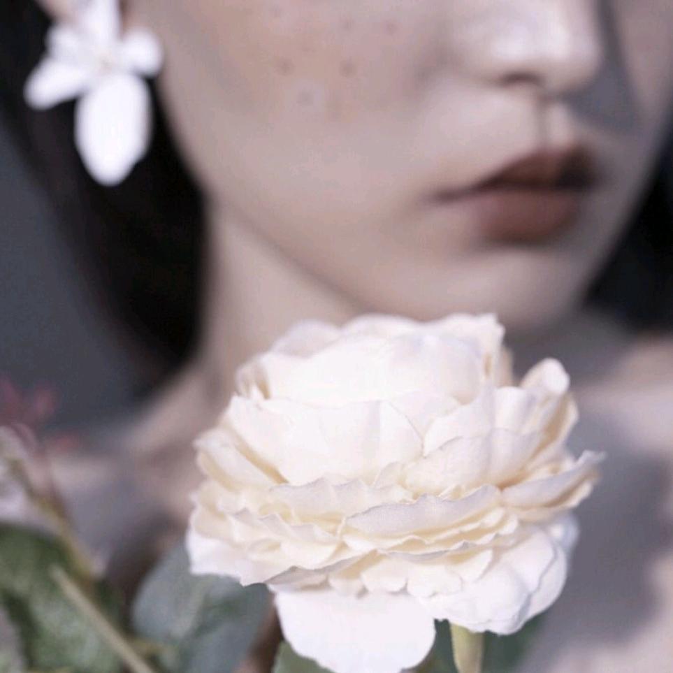 一川&风月