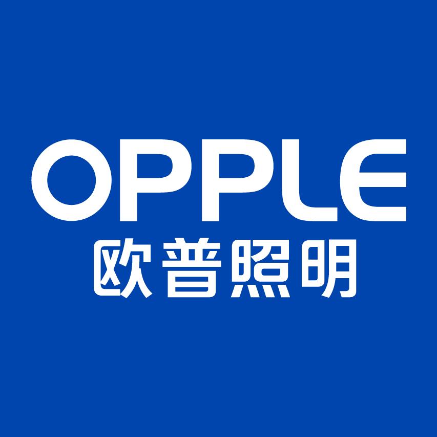欧普照明(汝南店)