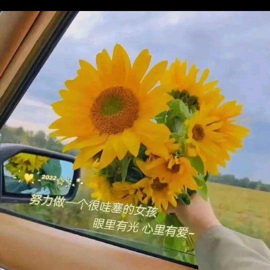 阳光的记忆