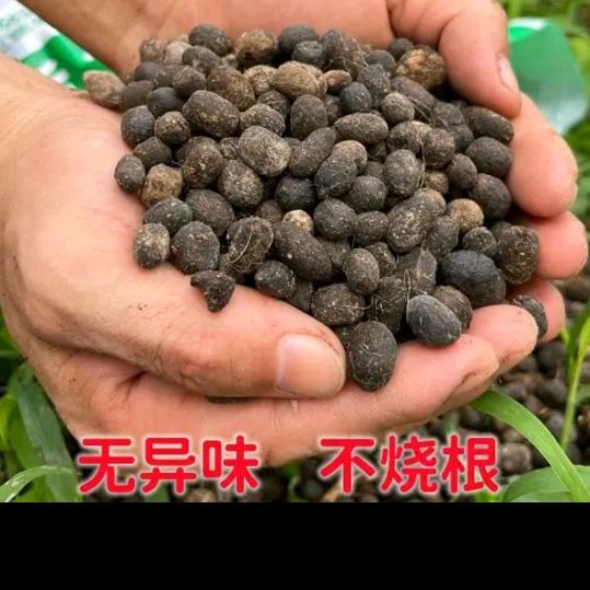 浙江湖州陈巍纯羊粪鸡粪有机肥