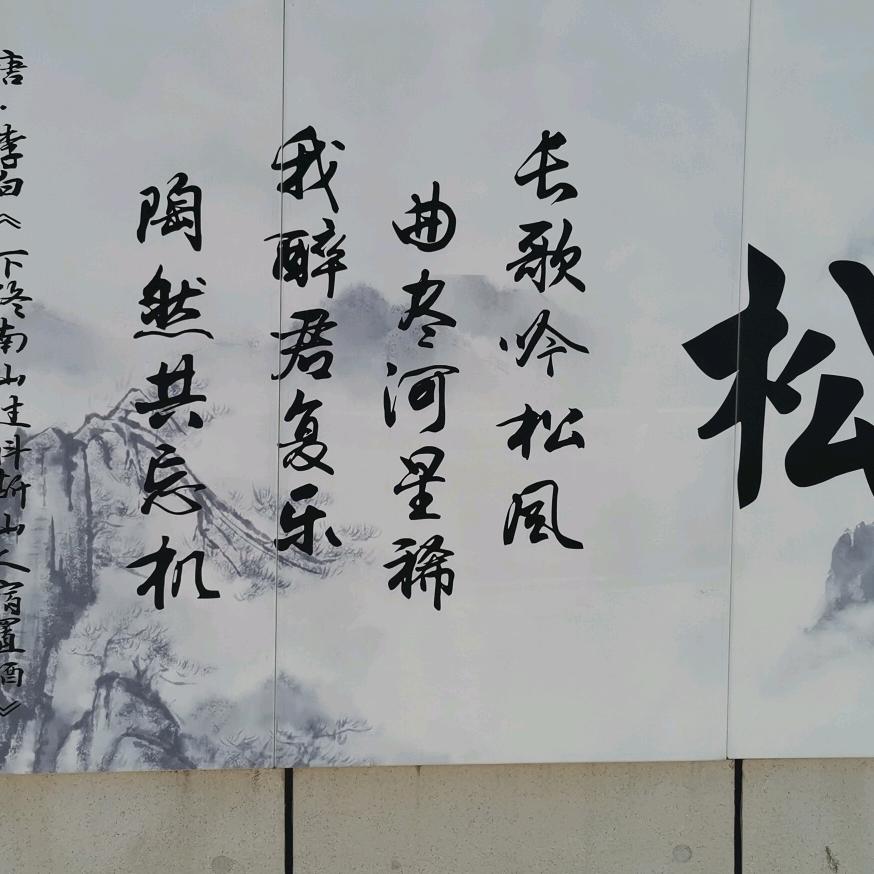 叶叶鑫哥