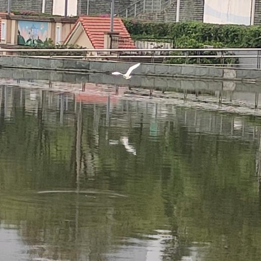 风雨过后是暖阳