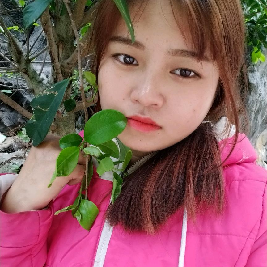 梦淋的猫