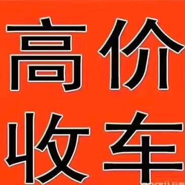 卖二手车的陶哥哥