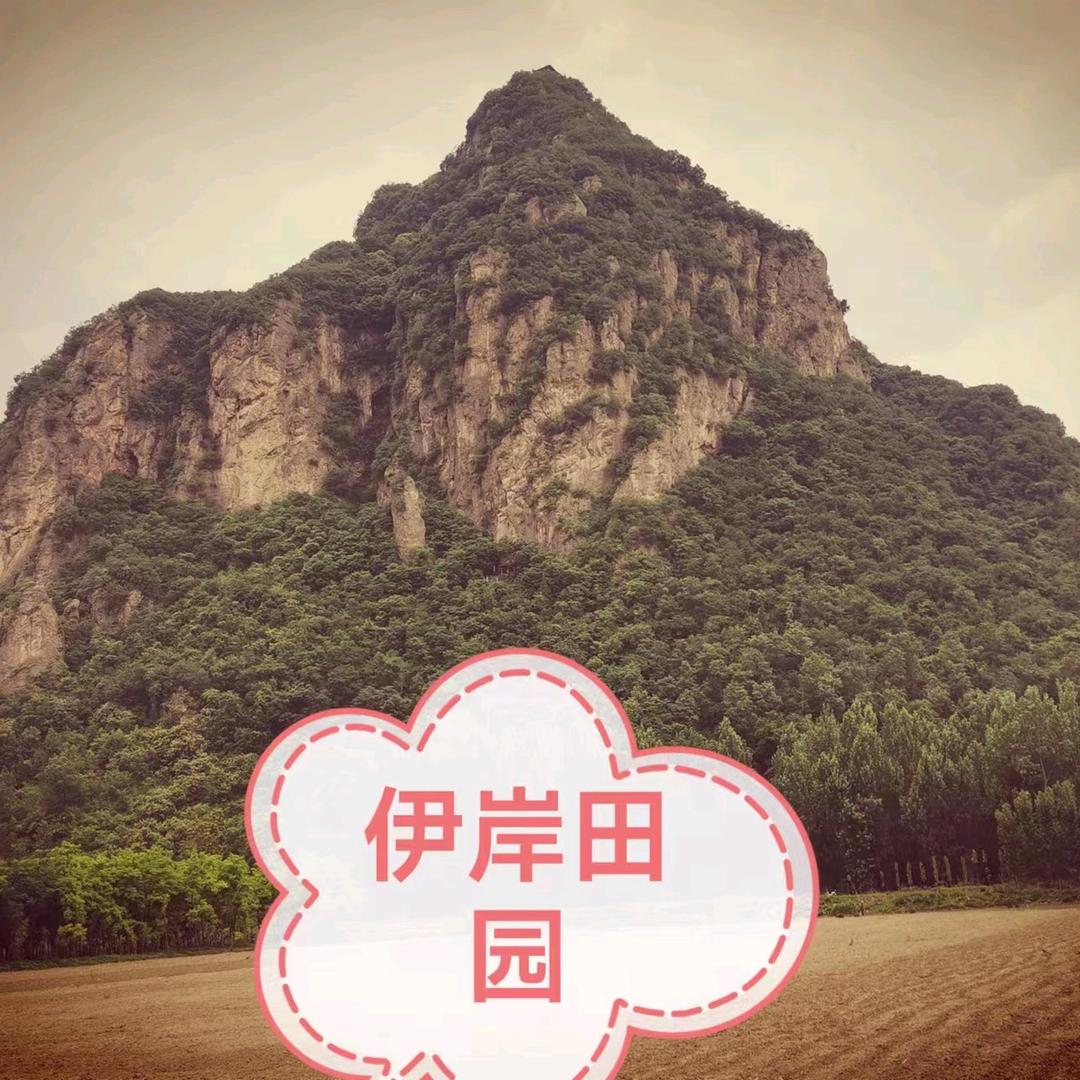 利隆盆景园嵩县店