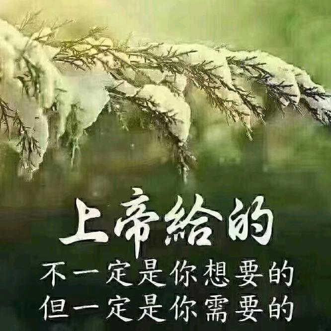 春光