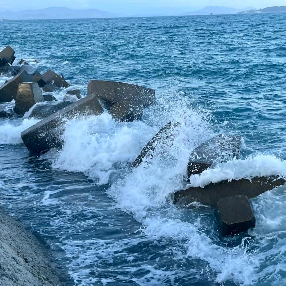 @郑郑日上