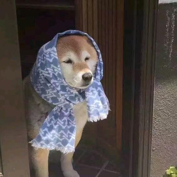 敏姐